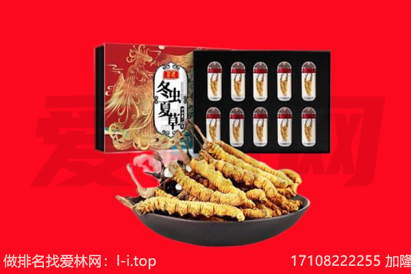 保定市竞秀回收虫草.jpg